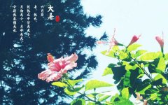 <b>夏送清涼:市工會領(lǐng)導(dǎo)蒞臨南洋環(huán)保慰問職工</b>