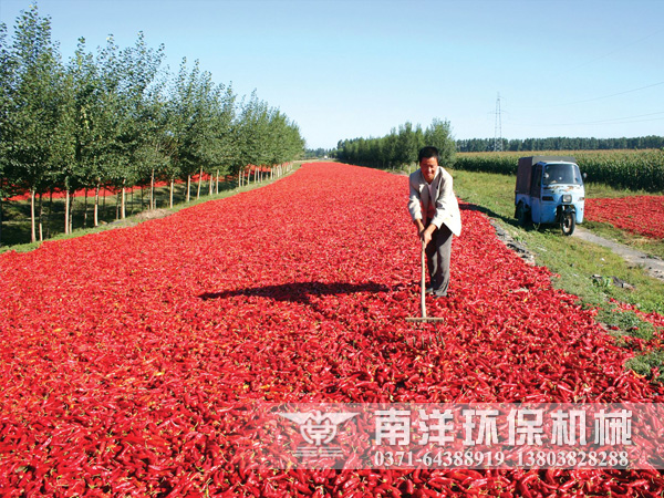 天山南北辣椒別樣紅,節(jié)能烘干椒農更省心